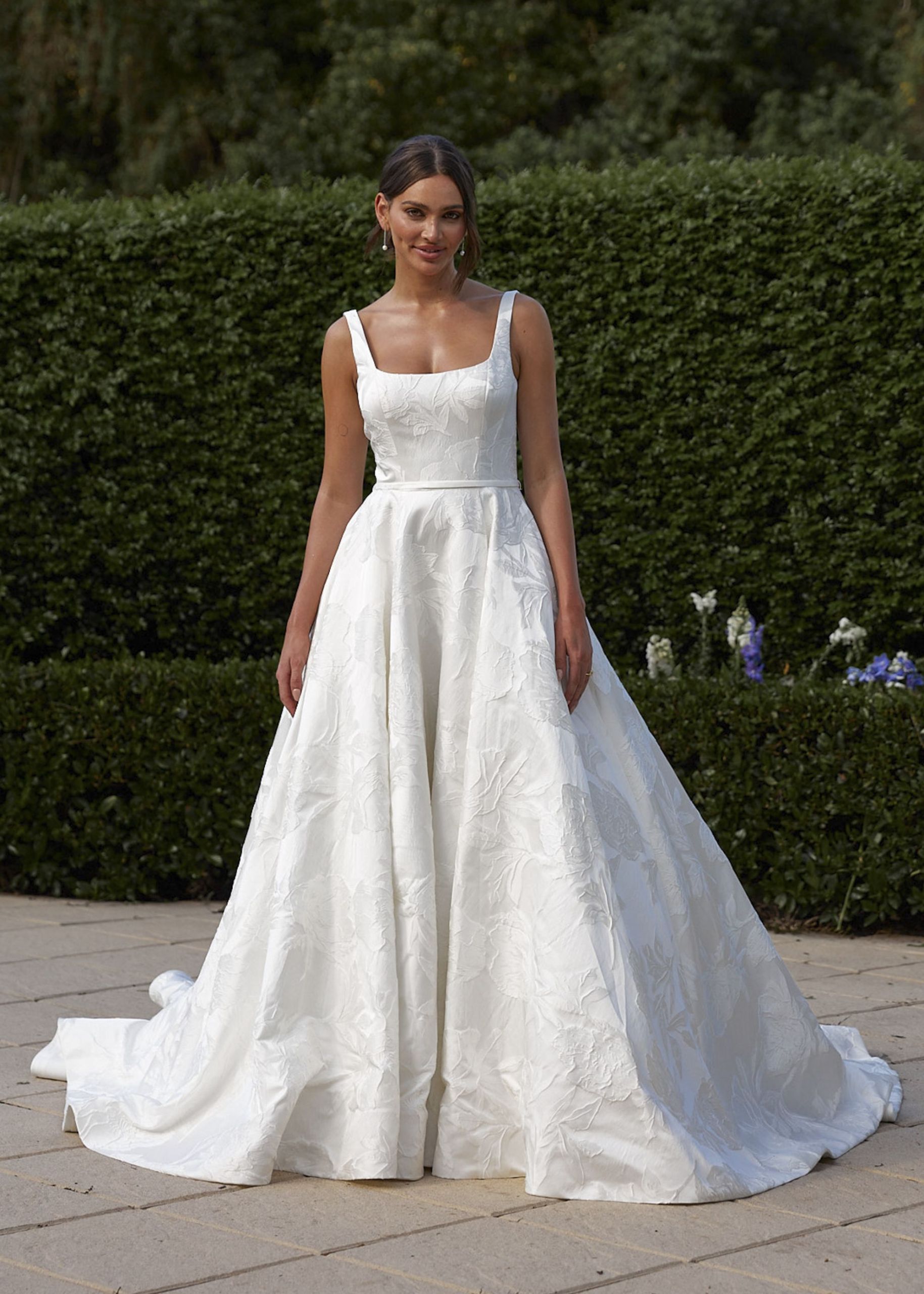 mahogany -Tania Olsen